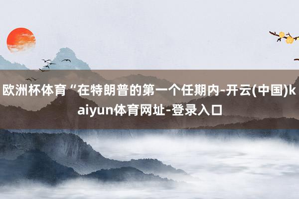 欧洲杯体育“在特朗普的第一个任期内-开云(中国)kaiyun体育网址-登录入口