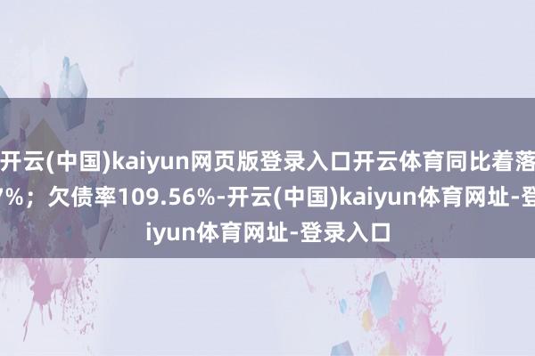 开云(中国)kaiyun网页版登录入口开云体育同比着落2315.7%；欠债率109.56%-开云(中国)kaiyun体育网址-登录入口