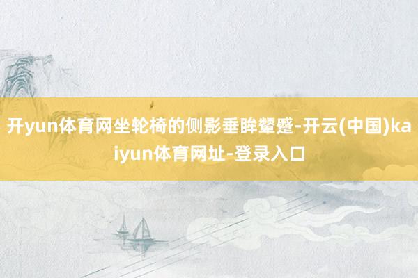 开yun体育网坐轮椅的侧影垂眸颦蹙-开云(中国)kaiyun体育网址-登录入口