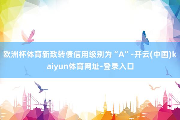 欧洲杯体育新致转债信用级别为“A”-开云(中国)kaiyun体育网址-登录入口