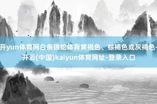 开yun体育网白条锦蛇体背黄褐色、棕褐色或灰褐色-开云(中国)kaiyun体育网址-登录入口
