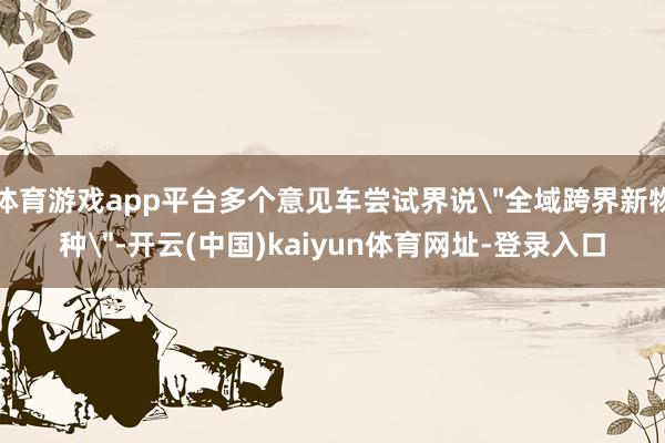 体育游戏app平台多个意见车尝试界说