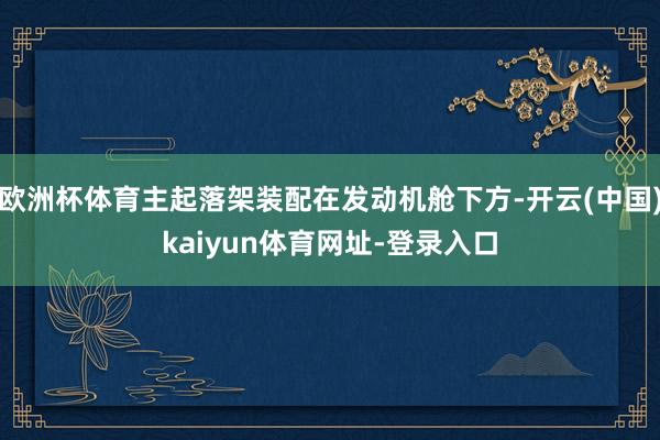欧洲杯体育主起落架装配在发动机舱下方-开云(中国)kaiyun体育网址-登录入口
