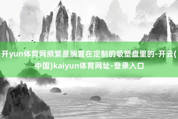 开yun体育网频繁是搁置在定制的吸塑盘里的-开云(中国)kaiyun体育网址-登录入口
