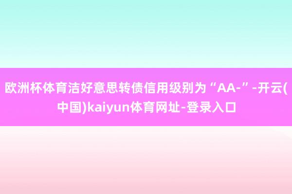 欧洲杯体育洁好意思转债信用级别为“AA-”-开云(中国)kaiyun体育网址-登录入口