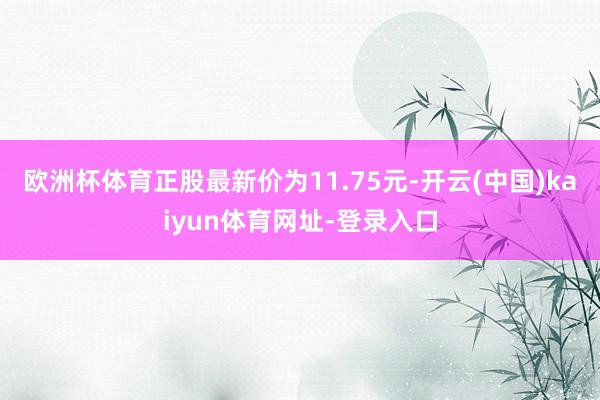 欧洲杯体育正股最新价为11.75元-开云(中国)kaiyun体育网址-登录入口