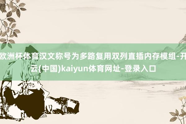 欧洲杯体育汉文称号为多路复用双列直插内存模组-开云(中国)kaiyun体育网址-登录入口